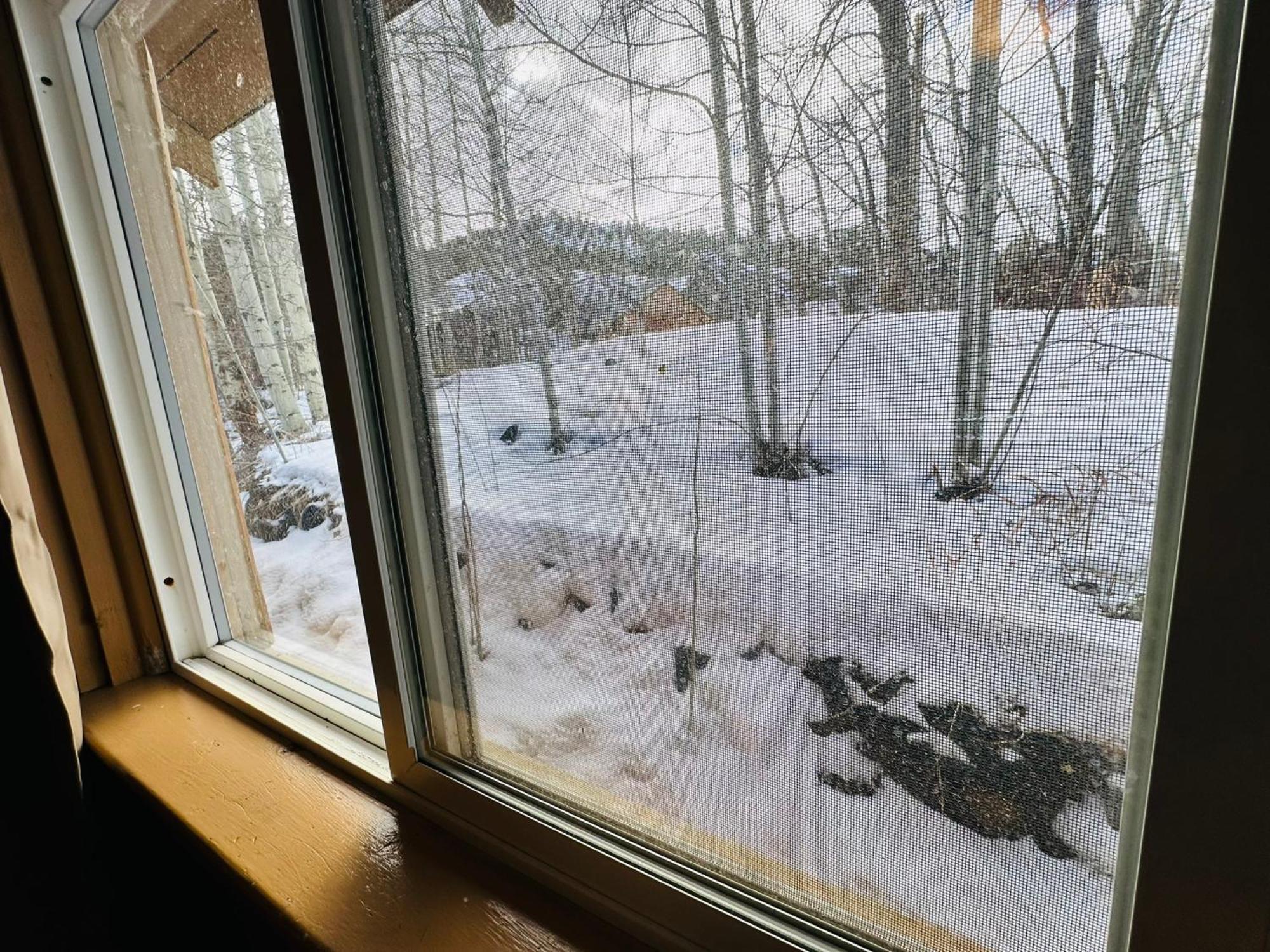 Ute Bluff Lodge, Cabins And Rv Park South Fork Luaran gambar